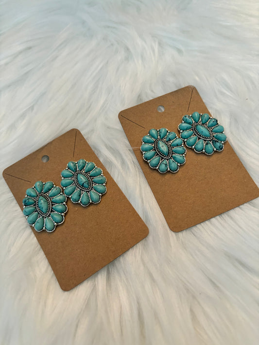 Western Aqua Earrings